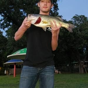 Meet your Posher, Austin